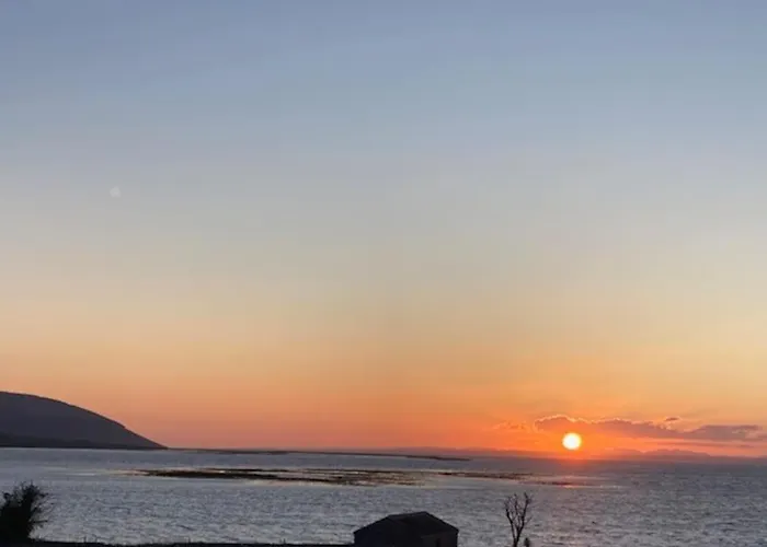 Lilac * Балливон